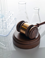 Legal Support
